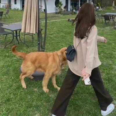 她说的算